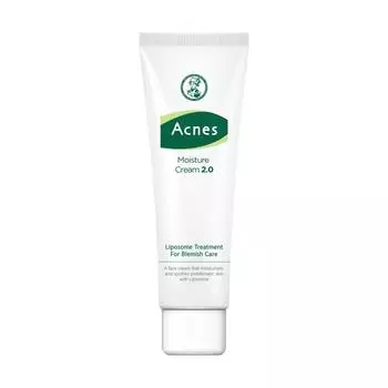 Acnes Moisture Cream 2.0 60ml soothing cream/moisturizing cream, 1 unit