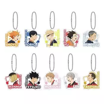 Коллекция акриловых брелоков 10 штук BOX Haikyu!! [Аниме версия]