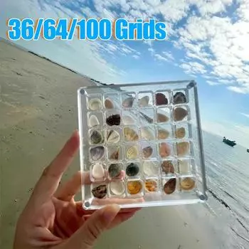 Acrylic Magnetic Seashell Display Box 36/64/100 Grids Seashell Clear Starfish Trinket Organizers Mini Seashell Storage Box