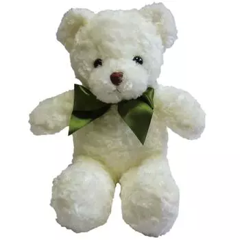 ActiveIsland Teddy Bear 60 секундная запись плюшевая игрушка 36 см диктофон A082 (белый)