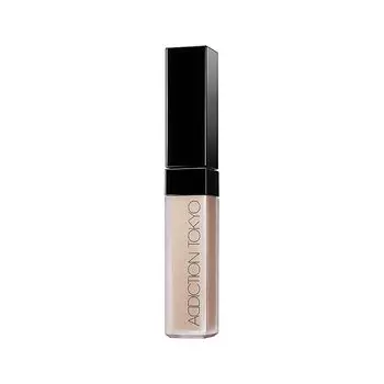 ADDICTION Skin Reflect Fix Concealer Консилер 001 6,5 мл