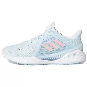 adidas ClimaCool Vent Summer.Rdy Sky Tint Glory Pink Женские кроссовки Blue Footwear-White FW3004