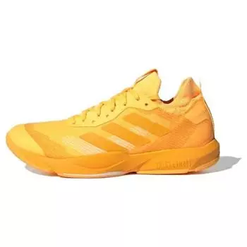 Adidas Мужские кроссовки Rapidmove ADV Solar Gold Active-Gold Cloud-White HP3269 40