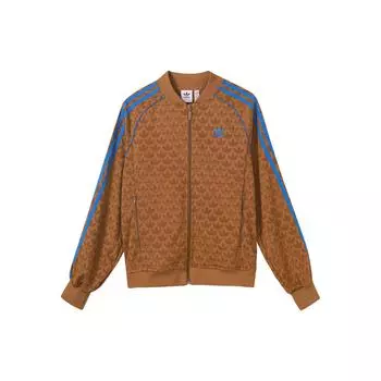 Adidas Originals Adicolor 70s Vintage Series Полосатая куртка с логотипом и бейсбольным воротником с длинными рукавами Женская верхняя одежда Коричневый IK7873 XXS