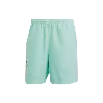 Adidas Originals Trefoil Enjoy Полиэтиленовые шорты с трехполосным логотипом Мужские шорты Зеленые IT8184 XL