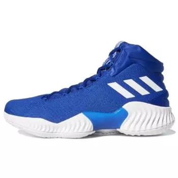 Adidas Pro Bounce 2018 Collegiate Royal Мужские кроссовки Blue Cloud-White AH2667