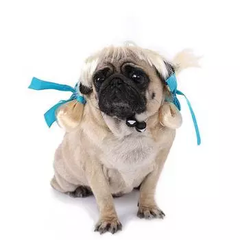 Adjustable Dog Wig Nylon Pet Cosplay Wig Cat Curly Hair Wigs Pet Wig Headgear Halloween синий/золотой