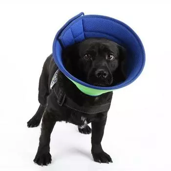 Adjustable Wound Healing Protection Dog Recovery Collar Dog Neck Cone Dog Elizabethan Collars M синий/зелёный
