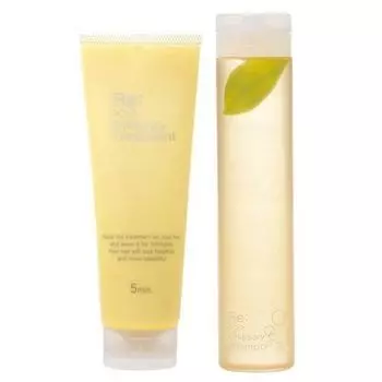 Adjuvant Re:emisary Shampoo 300ml & Treatment 250g Set