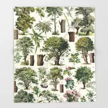 Адольф Мийо Цветы для всех Французский винтажный постер Плед Теплое одеяло из микрофибры Фланелевое одеяло 40x50in