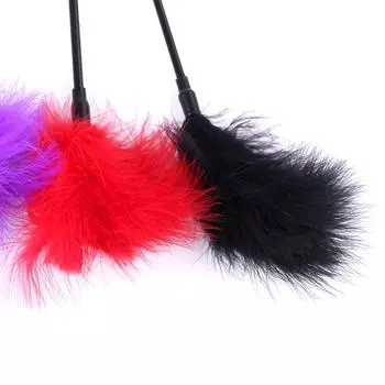 Adult sex toys, alternative toys, teasing and flirting, long-handled feather pats, underwear, one piece of underwear.