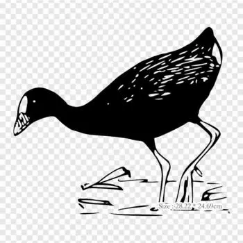 Agua Blanco Y Negro Duck Термопереносная печать виниловые заплатки наклейки для одежды аппликации своими руками моющиеся заплатки