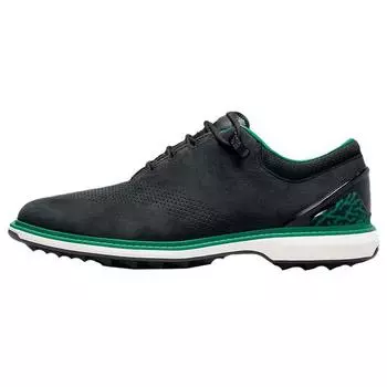 Air Jordan Eastside Golf x Jordan ADG 4 1961 мужские кроссовки черный малахитовый металлик-золото FJ0850-001 41