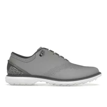 Air Jordan Jordan ADG 4 Wolf Grey Мужские кроссовки Дымчато-серый белый DM0103-010 44