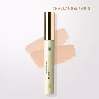 Airy Fit Cover Concealer 4.8g