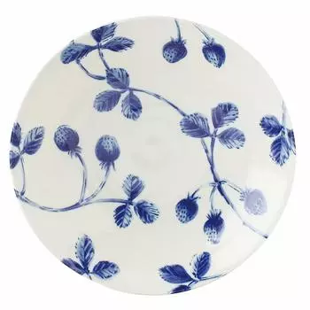 aito Seisakusho Curry Pasta Plate Approximately 22cm Strawberry Scandinavian Mino Ware Dishwasher Microwave Safe Made in Japan 288142 Botanical