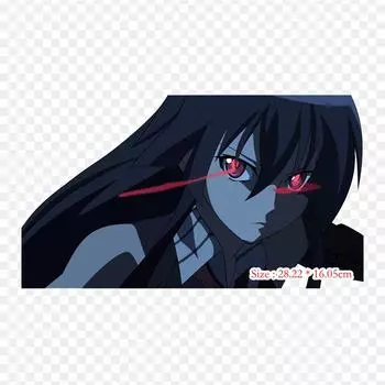 Akame Ga Kill Akame Akame Esdeath, термопереносная печать, виниловые нашивки, наклейки для одежды, аппликации «сделай сам», моющиеся нашивки