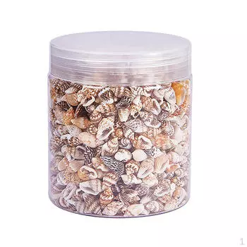 Акценты пляжного украшения из разноцветных ракушек в ассортименте