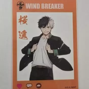 Акриловая карточка Windbreaker Trading