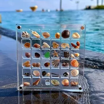 Акриловая магнитная витрина для ракушек, витрина для ракушек, коробка для хранения бриллиантов, отделение для небольших поделок, 36 ячеек