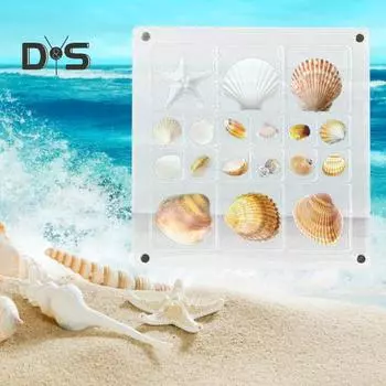 Акриловая магнитная витрина в виде ракушки с несколькими отделениями, квадратные маленькие поделки из натурального камня, дизайн ногтей из бисера, Очаровательный органайзер для ювелирных изделий, контейнер-футляр without Frame