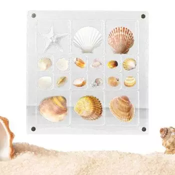 Акриловая магнитная витрина в виде ракушки с несколькими отделениями, квадратная, маленькие поделки, натуральный камень для дизайна ногтей, бусины, Очаровательный органайзер для ювелирных изделий without Frame