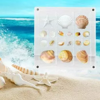 Акриловая магнитная витрина в виде ракушки с несколькими отделениями, квадратные маленькие поделки из натурального камня, дизайн ногтей из бисера, Очаровательный органайзер для ювелирных изделий, контейнер-футляр without Frame