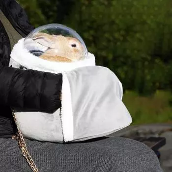 Акриловая сумка для домашних животных, съемный чехол, милый маленький рюкзак L кофейный