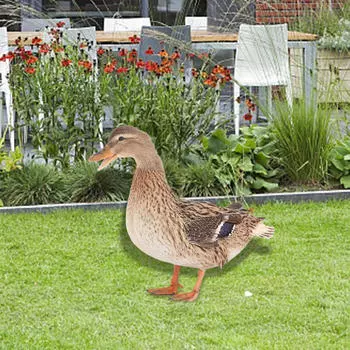 Акриловые плоские колья для животных Садовый кол