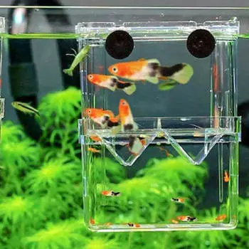 Акриловые резервуары для разведения рыбы, инкубатор, инкубатор, коробка для аксессуаров, изоляция