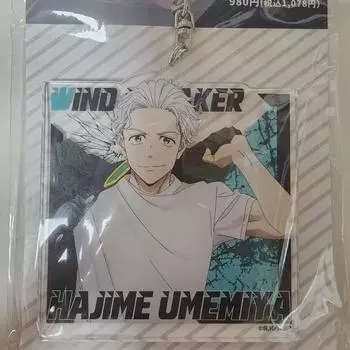 Акриловый брелок Winbre Umemiya