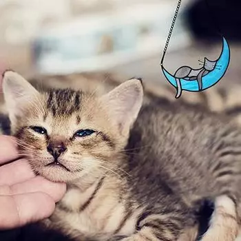 Акриловый подвесной декор для окна Элегантный превосходный витраж с изображением кошки на луне