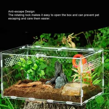 Акриловый террариум, акриловый ящик для кормления рептилий, всесторонний прозрачный контейнер на 360 градусов для домашних животных, пауков, скорпионов, рогатых лягушек
