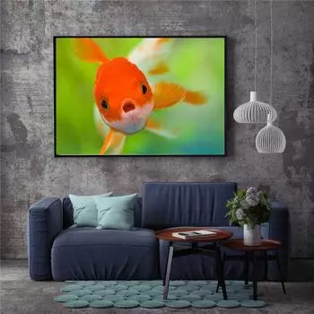 Акварельная картина маслом Золотой рыбки на холсте, картина для гостиной, современное искусство, печатные картины, настенное искусство, домашний декор 21cm30cm NoFrame