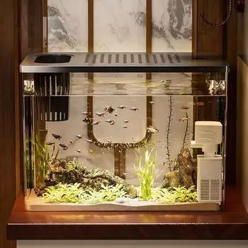 Аквариум для наблюдения за рыбками Бетта: Компактный экологический аквариум для маленьких золотых рыбок — стильный пластиковый дизайн для дома или офиса