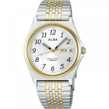 Стандартные часы Alba Alba Aigt002