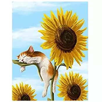 Алмаз Искусство Декорации 5D Алмазная живопись Полная дрель Рукоделие Алмазная роспись Полные наборы сверл Горный хрусталь 15*20cm