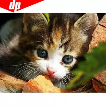 Алмазная картина животное 5D DIY полная круглая алмазная вышивка кошка стразы 20X30CM