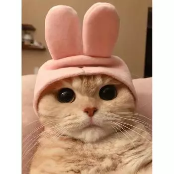 Алмазная 5D DIY Алмазная картина Кошка Мозаика Вышивка крестом Художественный узор Алмазная вышивка Ремесло Украшение дома Full Round 20X30CM