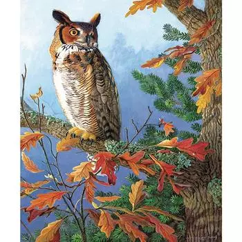 Алмазная 5D DIY Алмазная картина Сова Вышивка Крестом Горный хрусталь Мозаика Домашний декор 20X30CM