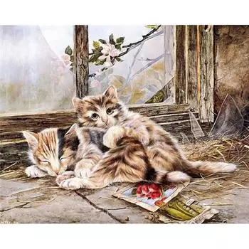 Алмазная картина 5d Кошка Круглые стразы Картинки Вышивка крестом 20X30CM