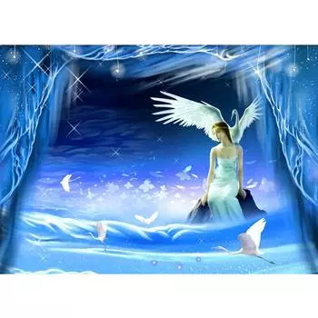 Алмазная картина Алмазная вышивка Фея Картина Стразы Алмазная мозаика Портрет Ремесленный подарок 20X30CM