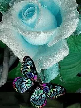 Алмазная картина Бабочка 5D Алмазная мозаика Набор для вышивания Алмазные точки Картина Мозаика 15*20cm