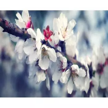 Алмазная картина, бесплатная вышивка крестиком, мозаика, вышивка крестом, груша, цветок, картина, домашний декор 20X30CM