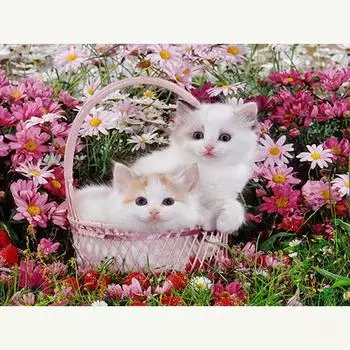 Алмазная картина, цветок ромашки и кошка, Алмазная вышивка, картина, стразы, вышивка крестом, Декор для дома 20X30CM