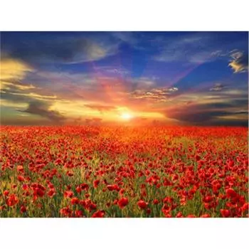 Алмазная картина Цветы Алмазная вышивка Алмазная мозаика Картины со стразами Рукоделие 20X30CM