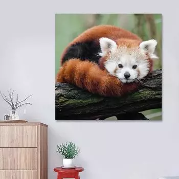 Алмазная картина Грустные белки Вышивка крестиком Алмазная вышивка Узоры Стразы Алмазная мозаика 30x30CM