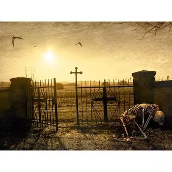 Алмазная картина Хэллоуин Rhinestone Вышивка крестиком Мозаика Алмазный череп Алмазная вышивка 20X30CM