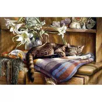 Алмазная картина Кошка Алмазная картина Полный круглый животное Вышивка крестом Домашнее украшение 20X30CM