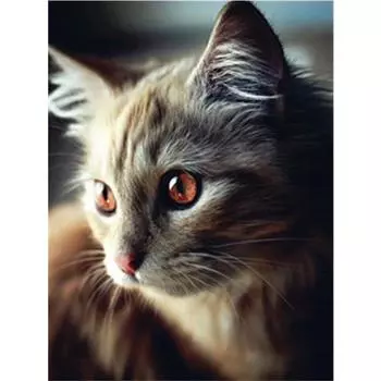 Алмазная картина Кот 5D Diy Алмазная вышивка Животное Мозаика Изображение Горный хрусталь Украшение дома 20X30CM